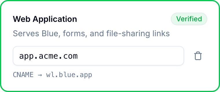 Verified domain card showing the subdomain and CNAME target