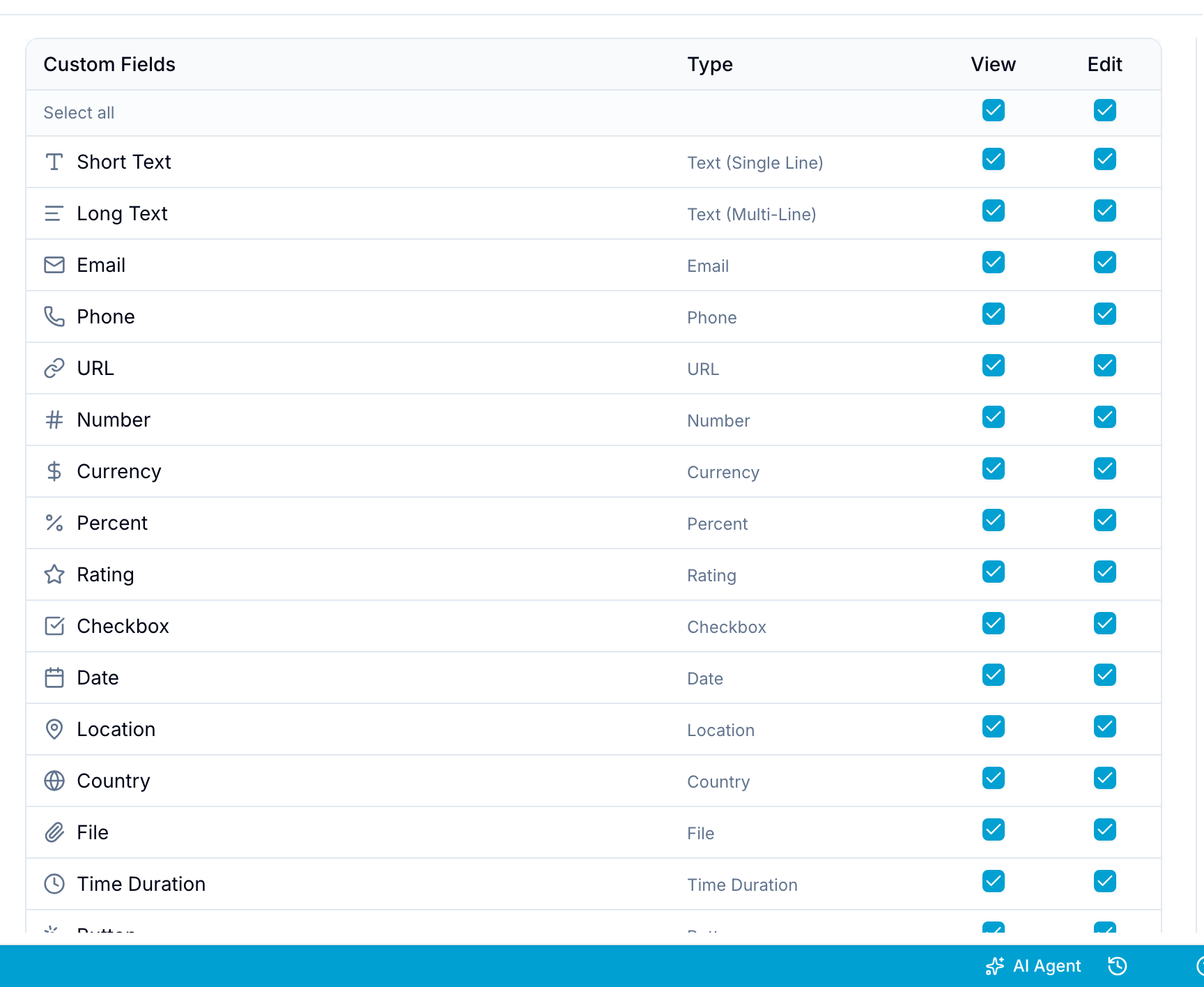 Custom Fields Access table listing field types with View and Edit checkboxes per field