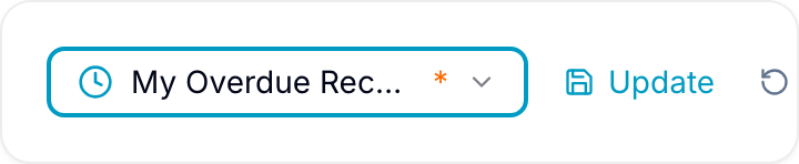 Active saved view control with a blue border, dirty asterisk, and Update/Reset actions